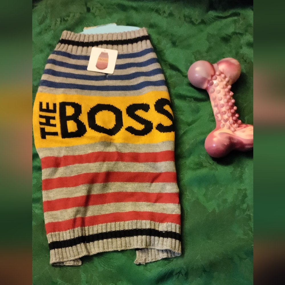 Dog sweater and Bone